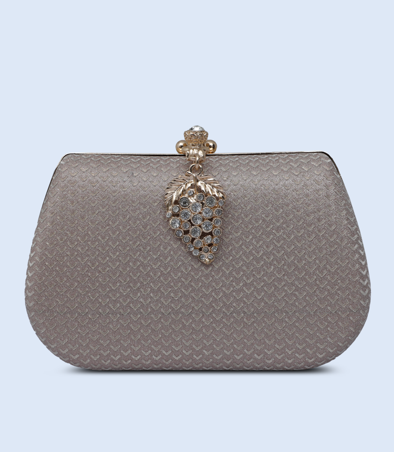Shiny Silver Clutch