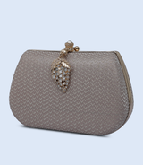 Shiny Silver Clutch