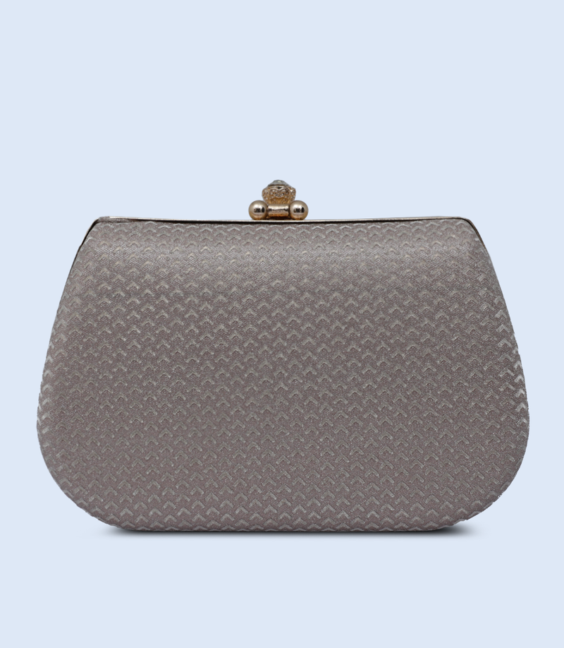 Shiny Silver Clutch