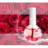 Nail Beauty Dried Flowers Nutrition