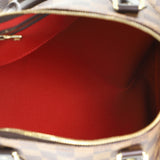Speedy Bandouliere Bag Damier 30