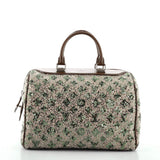 Speedy Handbag Limited Edition Sunshine Express 30