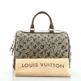Speedy Handbag Limited Edition Sunshine Express 30