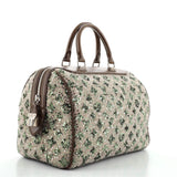 Speedy Handbag Limited Edition Sunshine Express 30