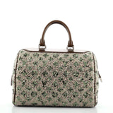 Speedy Handbag Limited Edition Sunshine Express 30