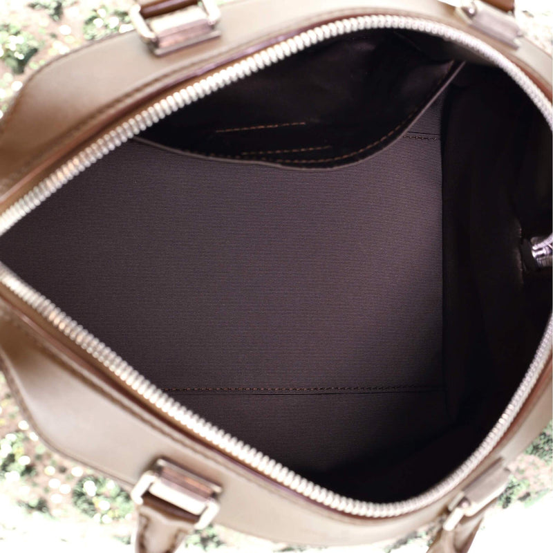 Speedy Handbag Limited Edition Sunshine Express 30