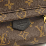 LOUIS VUITTON Monogram Palm Springs Backpack Mini CA2137