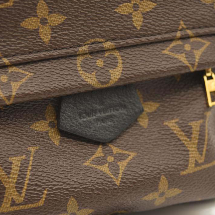 LOUIS VUITTON Monogram Palm Springs Backpack Mini CA2137