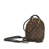 LOUIS VUITTON Monogram Palm Springs Backpack Mini CA2137