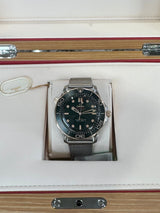 2025 Omega Professional Seamaster Diver
