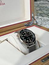 2025 Omega Professional Seamaster Diver
