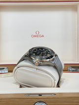 2025 Omega Professional Seamaster Diver